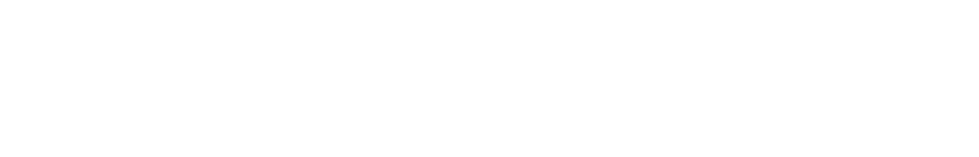 VayaPartners_Logo_white Vaya Partners White Logo